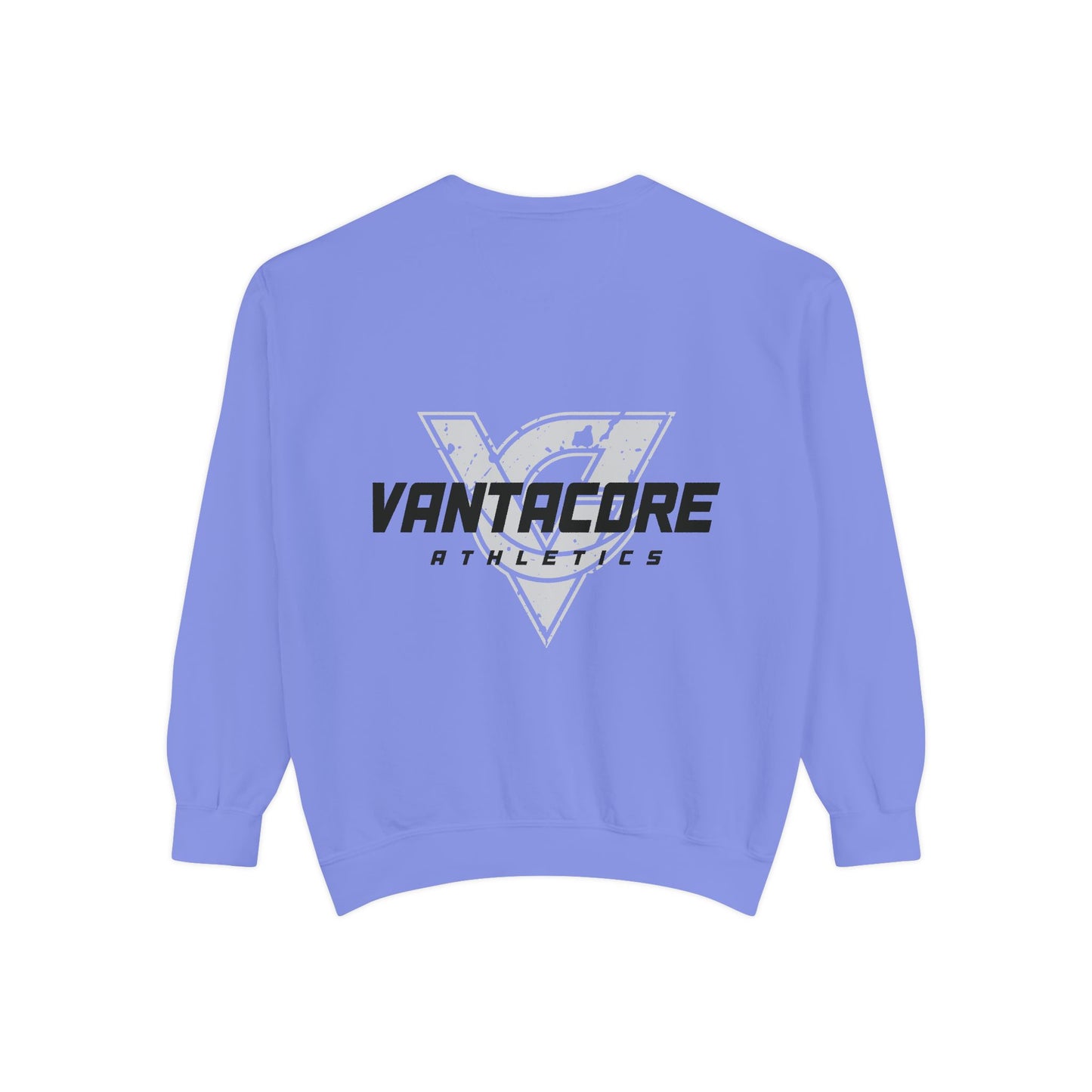 Squat Heavy or Go Home Sweatshirt — Weightlifting Gym Crewneck