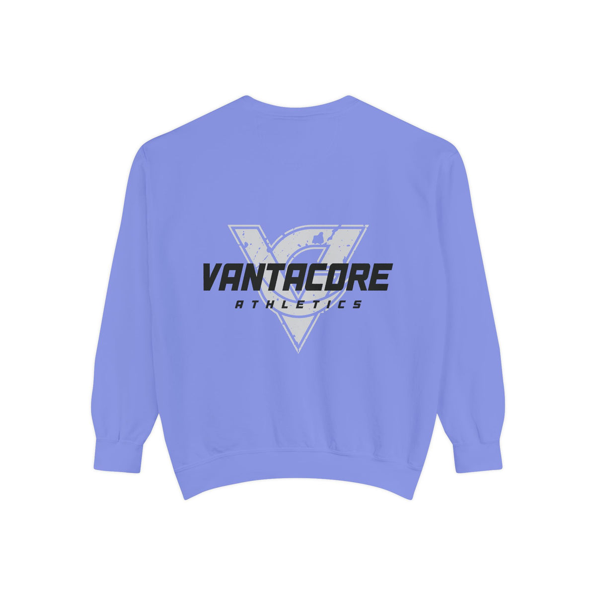 Squat Heavy or Go Home Sweatshirt — Weightlifting Gym Crewneck