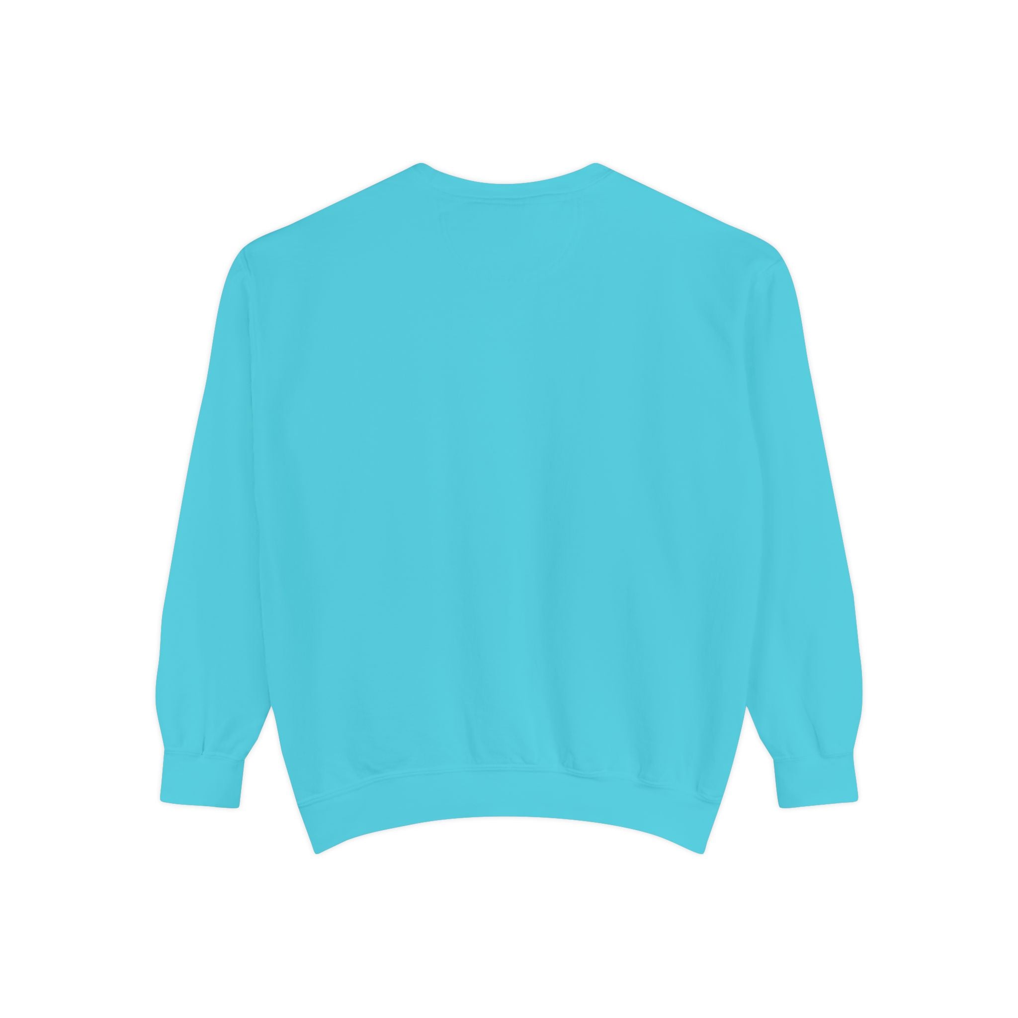 No Gain No Pain Sweatshirt | Motivational Fitness Crewneck