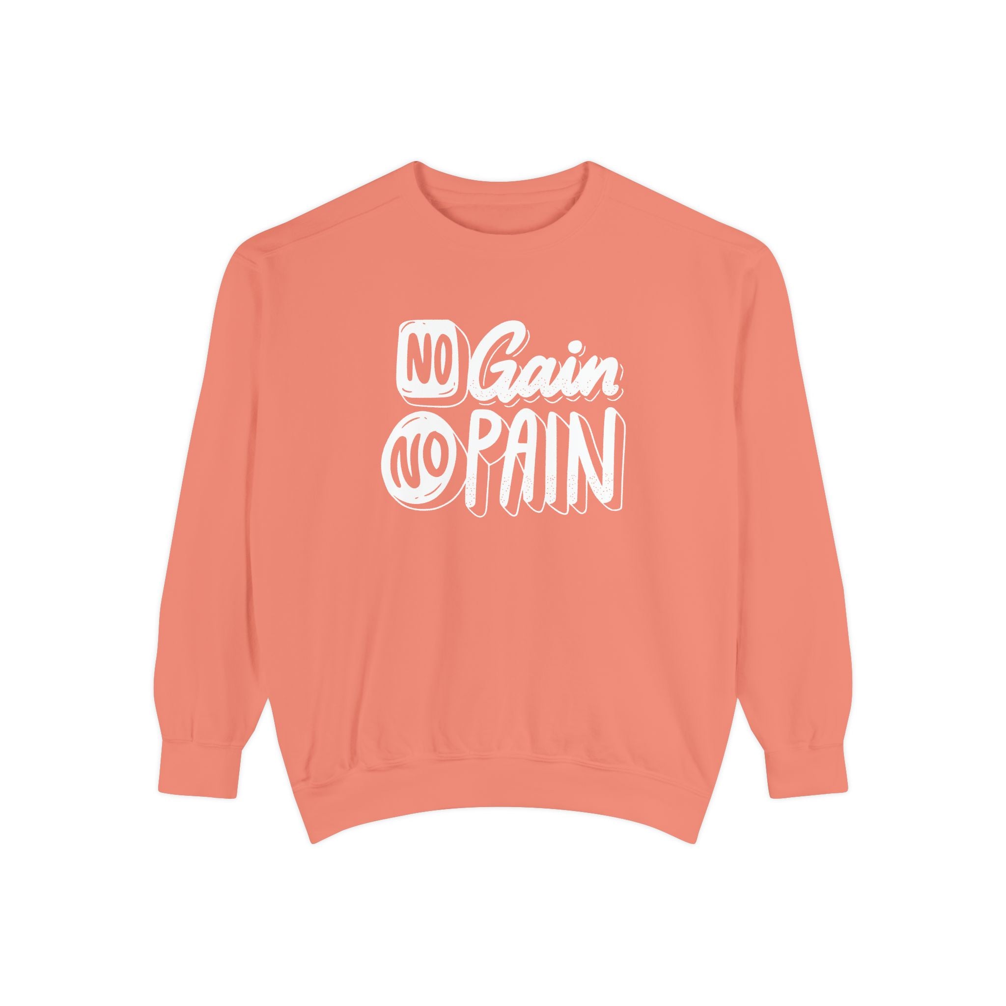 Copy of No Gain No Pain Sweatshirt | Motivational Fitness Crewneck