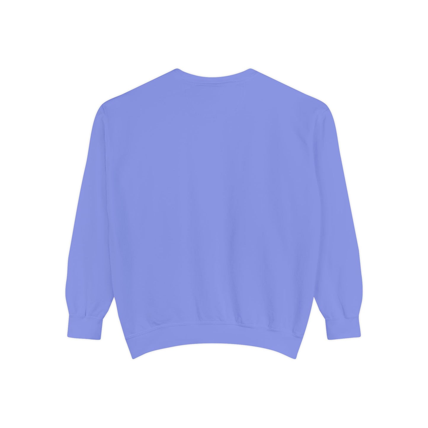 No Gain No Pain Sweatshirt | Motivational Fitness Crewneck
