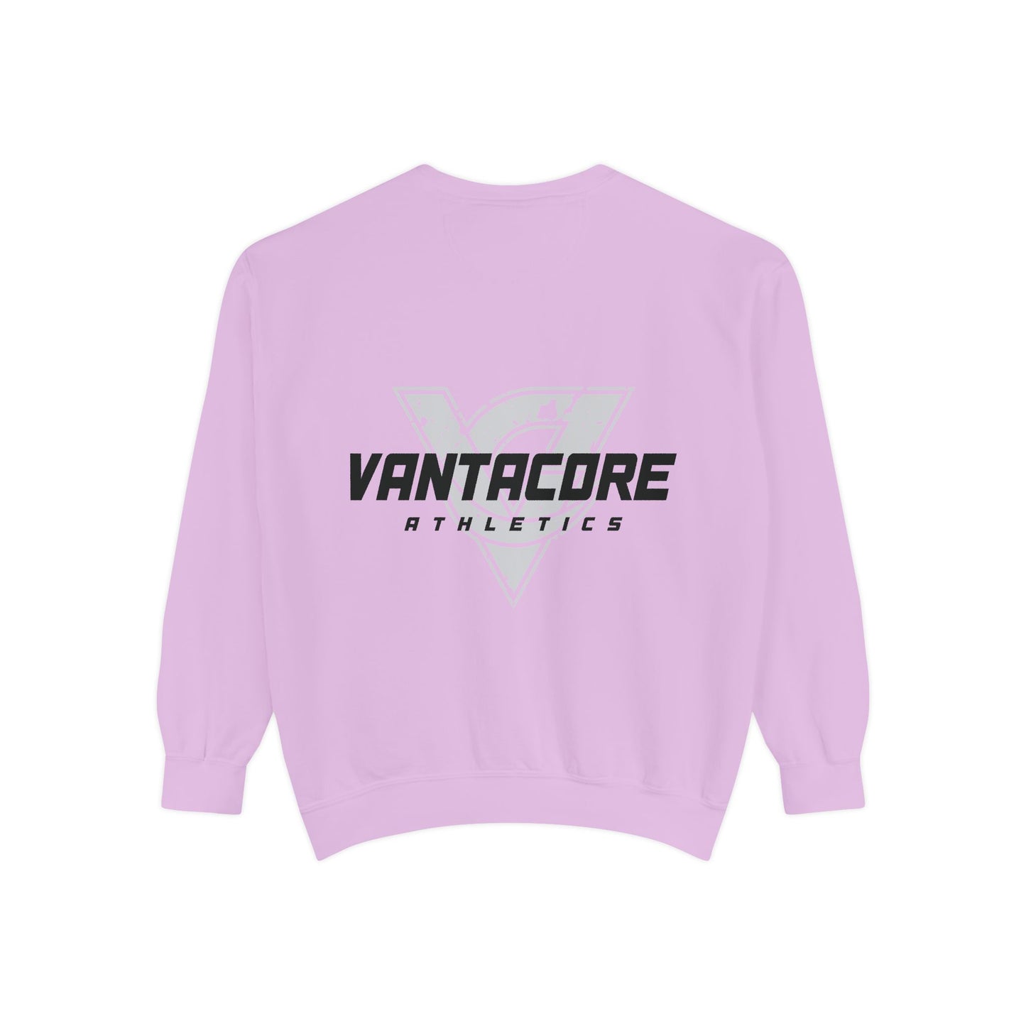 Squat Heavy or Go Home Sweatshirt — Weightlifting Gym Crewneck