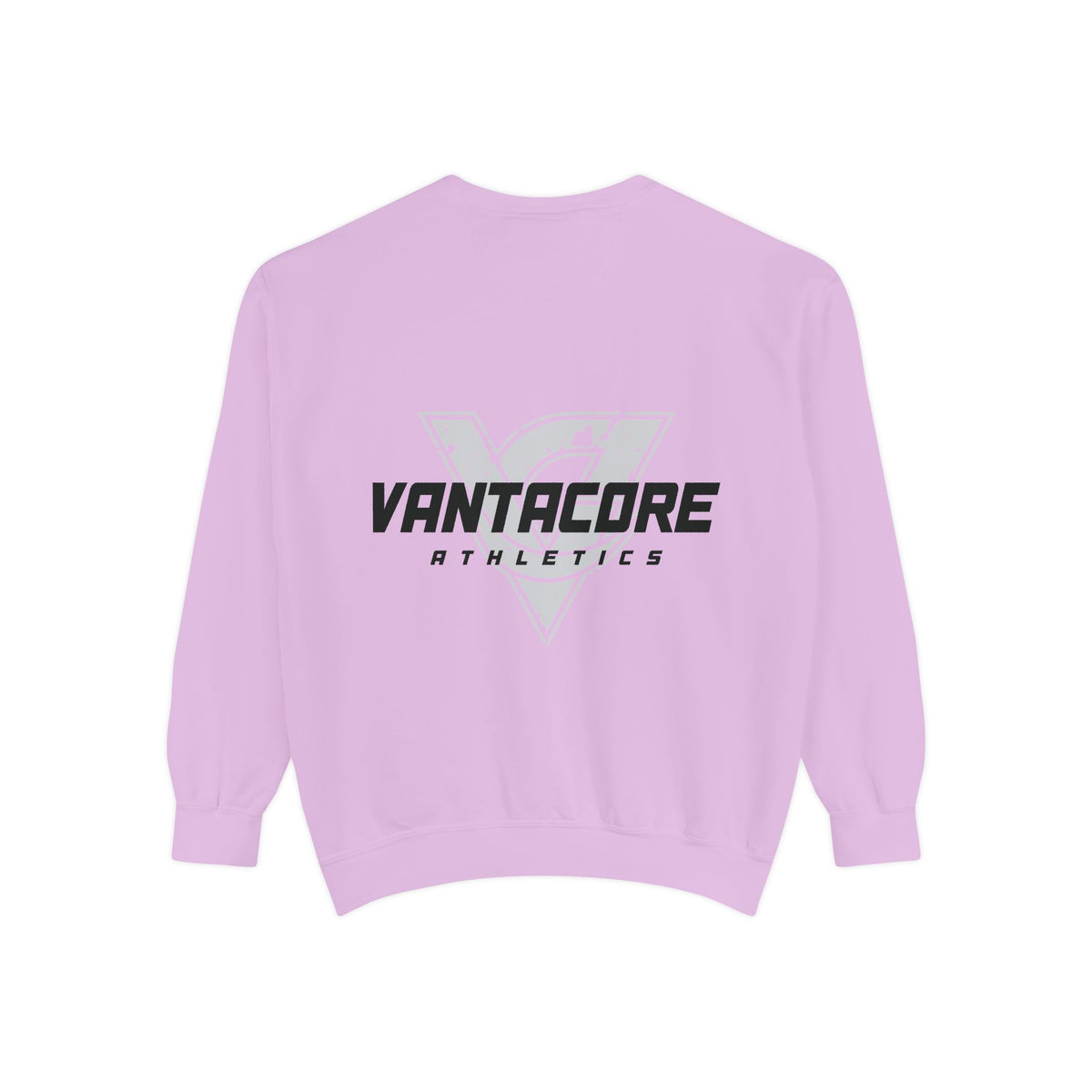 Squat Heavy or Go Home Sweatshirt — Weightlifting Gym Crewneck