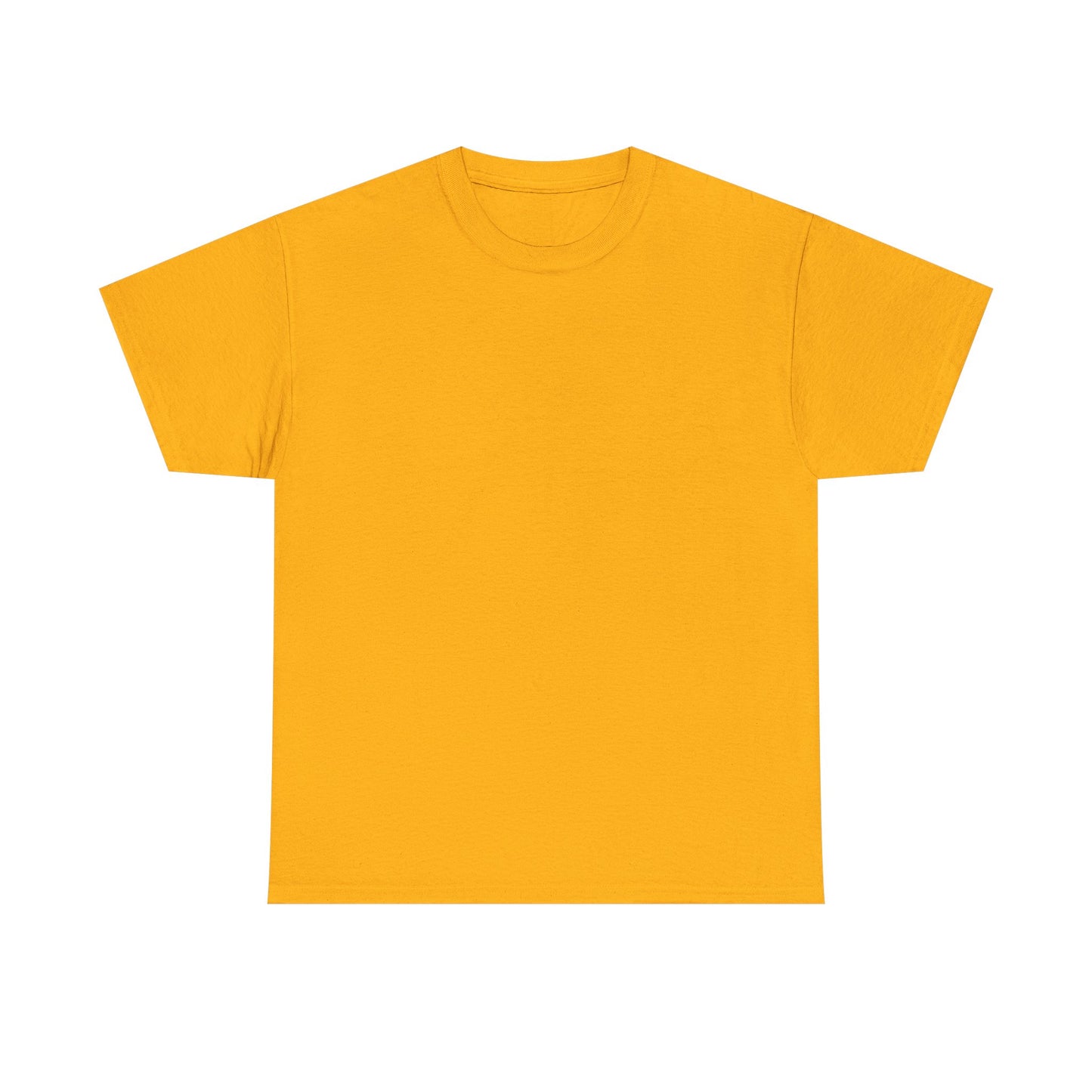 Be The Best Version of You | Motivational T-Shirt