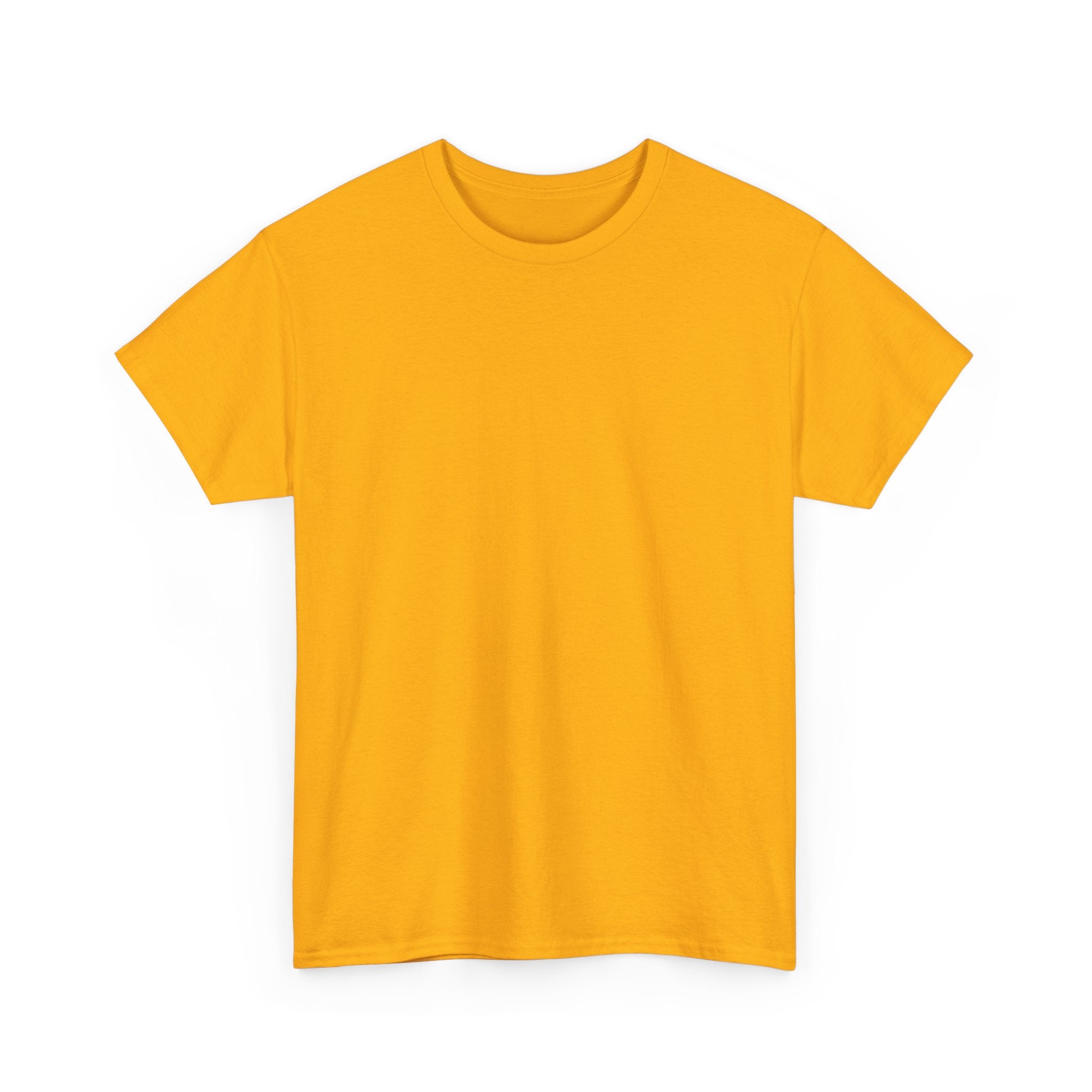 Be The Best Version of You | Motivational T-Shirt
